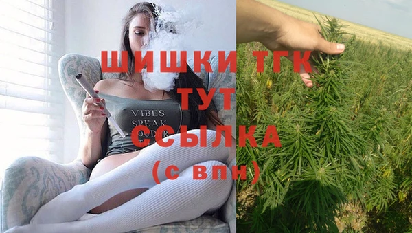 винт Арсеньев