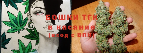 амф Аркадак