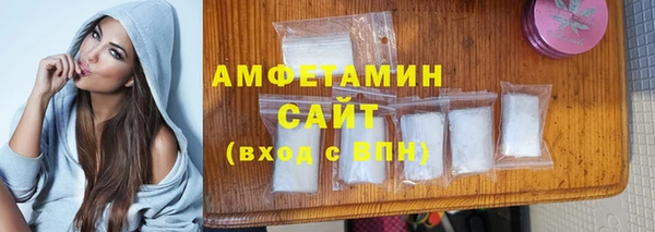индика Пестово
