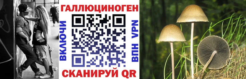 Псилоцибиновые грибы мицелий  Озёры 